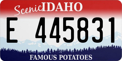 ID license plate E445831