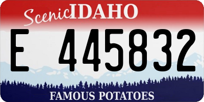 ID license plate E445832
