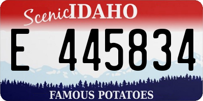 ID license plate E445834