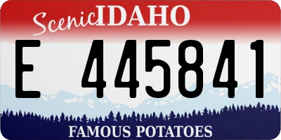 ID license plate E445841