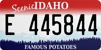ID license plate E445844