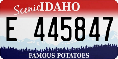 ID license plate E445847