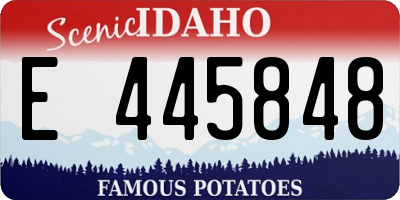ID license plate E445848