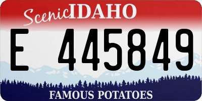 ID license plate E445849