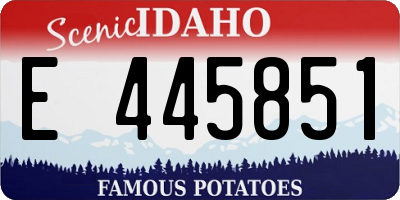 ID license plate E445851