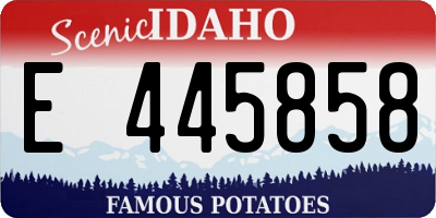 ID license plate E445858