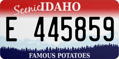ID license plate E445859