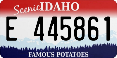 ID license plate E445861