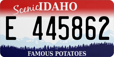 ID license plate E445862