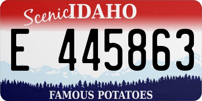 ID license plate E445863