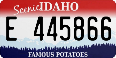 ID license plate E445866