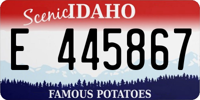ID license plate E445867
