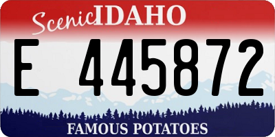 ID license plate E445872