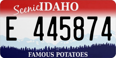ID license plate E445874
