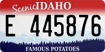 ID license plate E445876