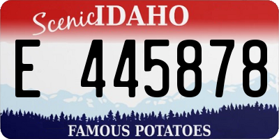 ID license plate E445878