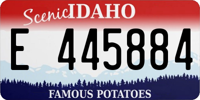 ID license plate E445884