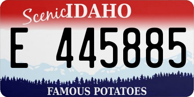 ID license plate E445885