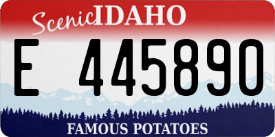 ID license plate E445890