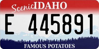 ID license plate E445891