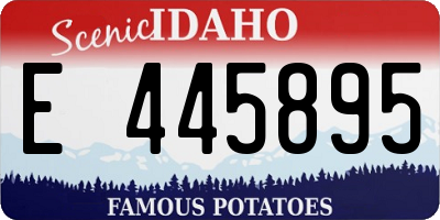 ID license plate E445895