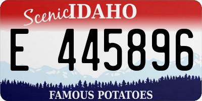 ID license plate E445896