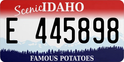 ID license plate E445898