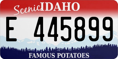ID license plate E445899