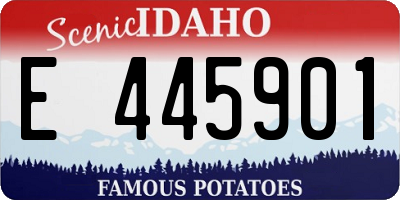 ID license plate E445901