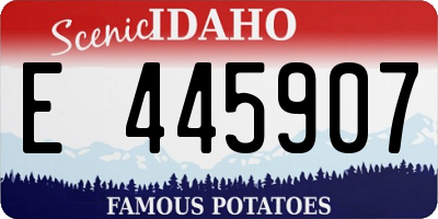 ID license plate E445907