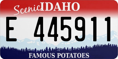 ID license plate E445911