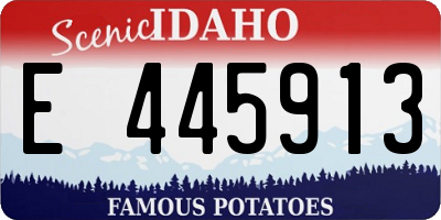 ID license plate E445913