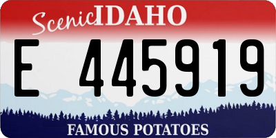 ID license plate E445919