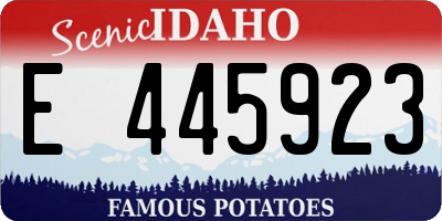 ID license plate E445923