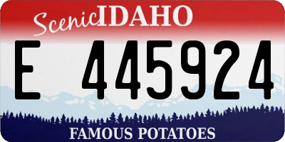 ID license plate E445924