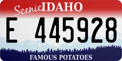 ID license plate E445928