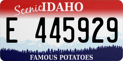 ID license plate E445929