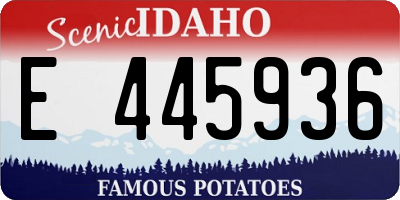 ID license plate E445936