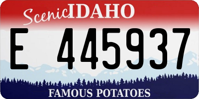 ID license plate E445937