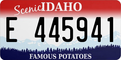 ID license plate E445941