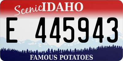 ID license plate E445943