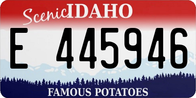 ID license plate E445946