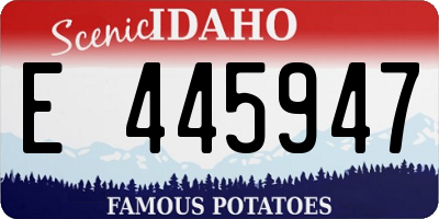 ID license plate E445947