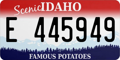 ID license plate E445949
