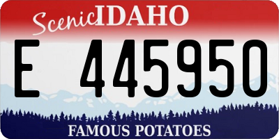 ID license plate E445950