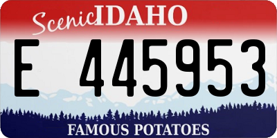 ID license plate E445953