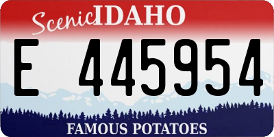 ID license plate E445954
