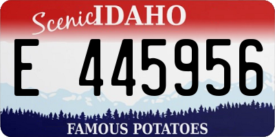 ID license plate E445956