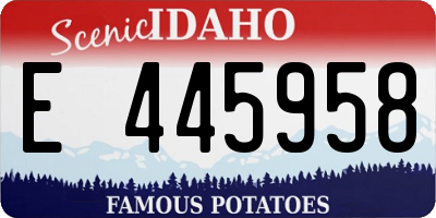ID license plate E445958