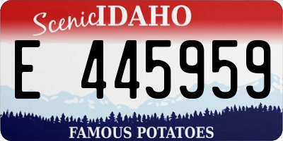 ID license plate E445959